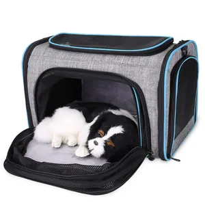 Detail of breathable pet carrier with mesh windows and soft inner mat for cats and dogs.