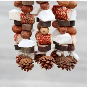 Macro view of natural bird toy for large parrots featuring pine cones and cuttlebone