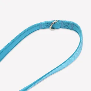 Close-up detail of the durable nylon pet leash with a sturdy metal D-ring attachment.