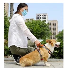 Close-up of orange reflective dog harness being held by owner during a walk outdoors.