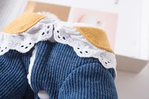 Gros plan d'un pull pour animaux en maille bleue avec col Claudine en dentelle