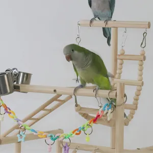 Grand parc de jeux pour perroquets en bois naturel avec échelles et jouets colorés