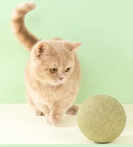 Nahaufnahme eines großen grünen Katzenminzeballs, der von einem Kätzchen spielt.