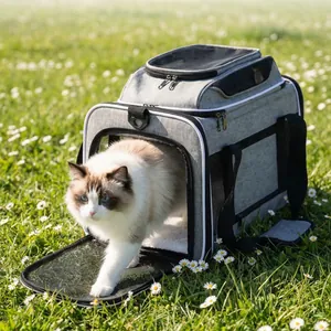 Grey breathable Oxford cloth cat carrier bag shown in a sunny outdoor field with daisies