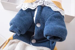 Gros plan d'un manteau d'hiver mignon pour animaux avec col en dentelle et doublure polaire