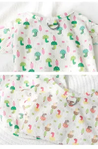 Close-up detail of a summer lightweight pet vest with cute dinosaur patterns and D-ring