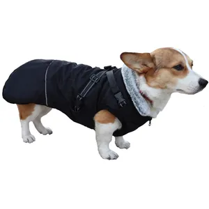 Side view detail of a black warm winter dog jacket with built-in harness on a Corgi