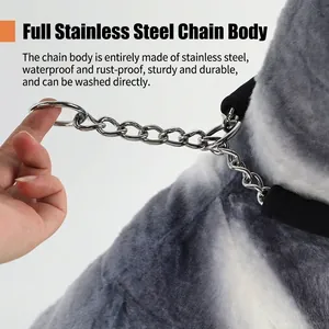 Professional durable stainless steel P-chain dog collar with soft protective neck padding