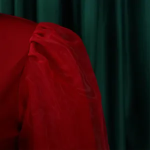Close-up detail of red mesh puff sleeve and pleated shoulder stitching on women's dress.