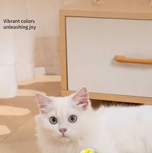Macro shot of a white cat near a macaron plush bell ball toy in a minimalist home