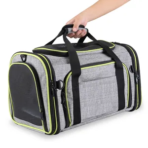 Detailed view of gray expandable pet carrier with breathable mesh and green trim.