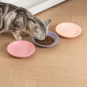Set de 3 assiettes colorées en céramique de 6 pouces pour chat sur sol en bois