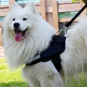 Professional black no-pull dog harness and leash set shown on a white Samoyed dog