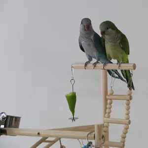 Vue détaillée d'un grand perchoir en bois pour perroquet avec échelle et pique-fruits.