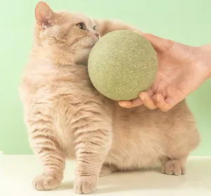 Makroansicht eines extragroßen Katzenminzeballs, der neben einer neugierigen Katze liegt.