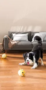 Action shot of a Border Collie playing with a pufferfish-shaped slow feeder dog toy