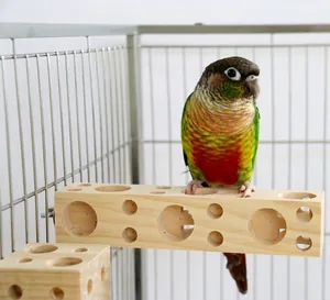 Detaillierte Nahaufnahme eines grünen Papageis auf einer rechteckigen Holzstange mit Löchern