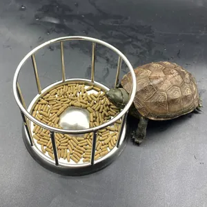 Nahaufnahme eines Schildkröten-Futternapfes aus langlebigem 304 Edelstahlgehäuse