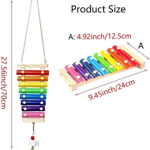 Diagramma delle dimensioni del giocattolo xilofono arcobaleno per polli
