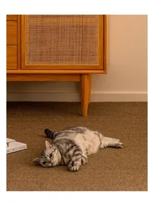 Close-up of a grey tabby cat lying comfortably on a durable brown sisal scratching mat.