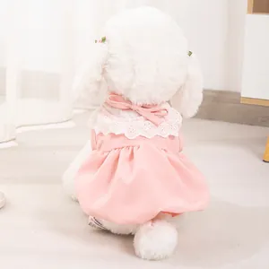 Robe de princesse citrouille rose mignonne pour petits chiens et chats style d'été dentelle