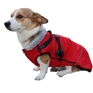 Side view of Corgi wearing a red winter dog vest with grey fur collar and black harness straps