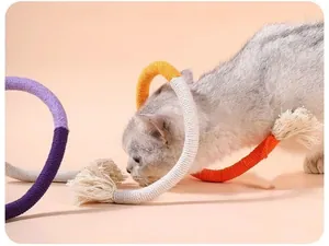 Vista dettagliata di un gatto che gioca con un colorato giocattolo da masticare in corda