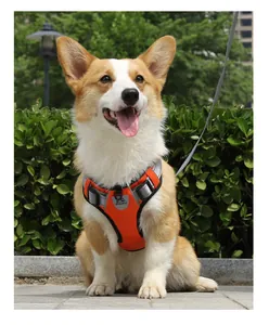 Detail view of an orange reflective dog harness worn by a Corgi in an outdoor park.