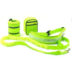 Hands-free pet running leash set with reflective waist belt and bungee cord in green.