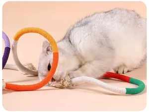 Primo piano di un gatto bianco che morde una corda in cotone colorato per la pulizia.
