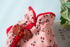 Detailopname van een feestelijk hondenpak met kersenprint en rode Chinese knopen