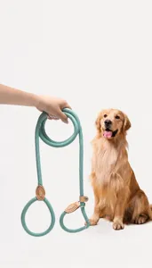 Heavy duty integrated P-rope dog leash in mint green with leather details
