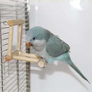 Handgefertigte Vogelstange aus Massivholz im Käfig mit einem blauen Papagei darauf sitzend