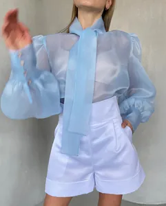 Detalle de blusa de malla azul transparente con elegantes mangas abullonadas y lazo al cuello