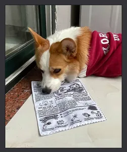 A Corgi interacts with a crinkle newspaper squeaky toy on the floor in detail