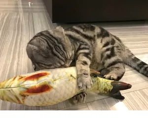 Realistic plush fish catnip toy being hugged by a gray tabby cat in a home setting