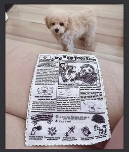 Close-up of newspaper-themed dog crinkle toy with illustrations and English text