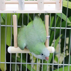 Detailed view of a green parrot playing on a natural wooden swing ladder inside a bird cage