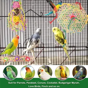 Set de jouets colorés pour oiseaux avec balles de vigne et balançoires