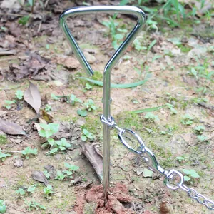 Close-up of a heavy-duty galvanized steel dog tie-out stake anchored in the soil