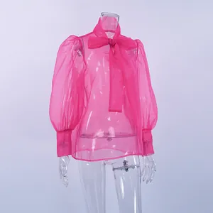 Detalle de blusa de malla rosa transparente con lazo y mangas abullonadas