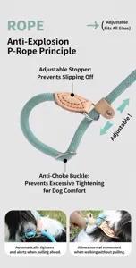 Functional anti-burst P-rope dog leash with adjustable limit buckle and anti-choke design