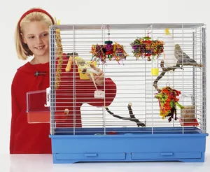 Colorful parrot chewing toy set inside a bird cage with parakeets