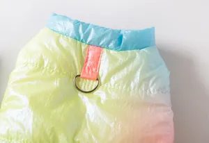 Detail van de regenboog hondenhalsband met metalen D-ring voor hondenriem