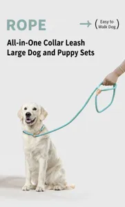 Macro detail showing the integrated light blue P-rope slip lead on a golden retriever.