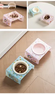 Detail view of tilted acrylic pet bowl stand with ceramic bowls and cartoon prints