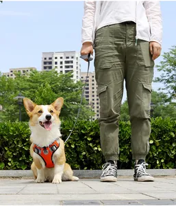Professional orange vest-style dog harness and leash set for medium dogs in a park