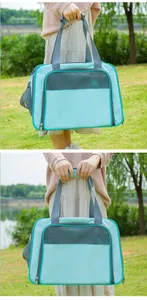 Detail view of a breathable light blue pet carrier bag being held in an outdoor park