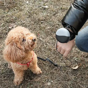 Laisse rétractable de 3 m pour chien, portée au poignet en scène extérieure