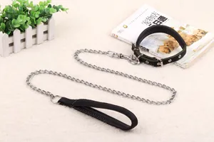 Detail of heavy-duty metal dog leash with soft foam-padded handle and green collar
